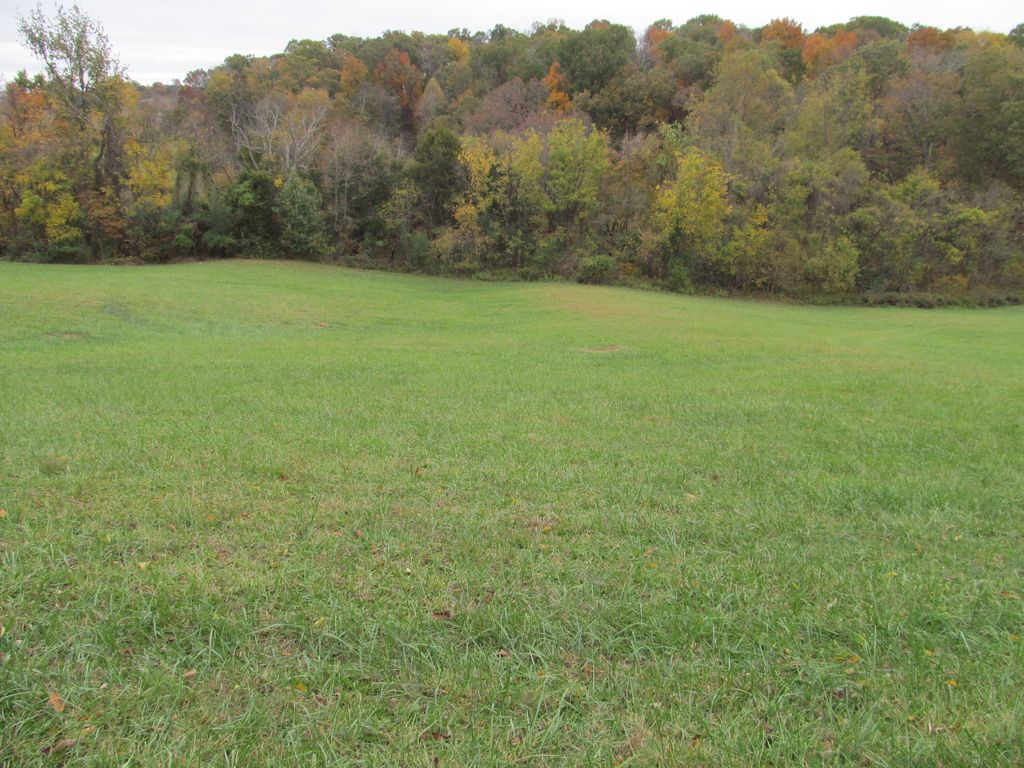 Photo of 793 S Pickens Bridge Road, Gray, TN 37615 (MLS # 9982507)