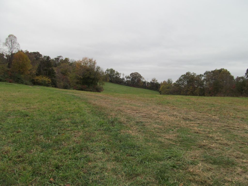 Photo of 793 S Pickens Bridge Road, Gray, TN 37615 (MLS # 9982507)