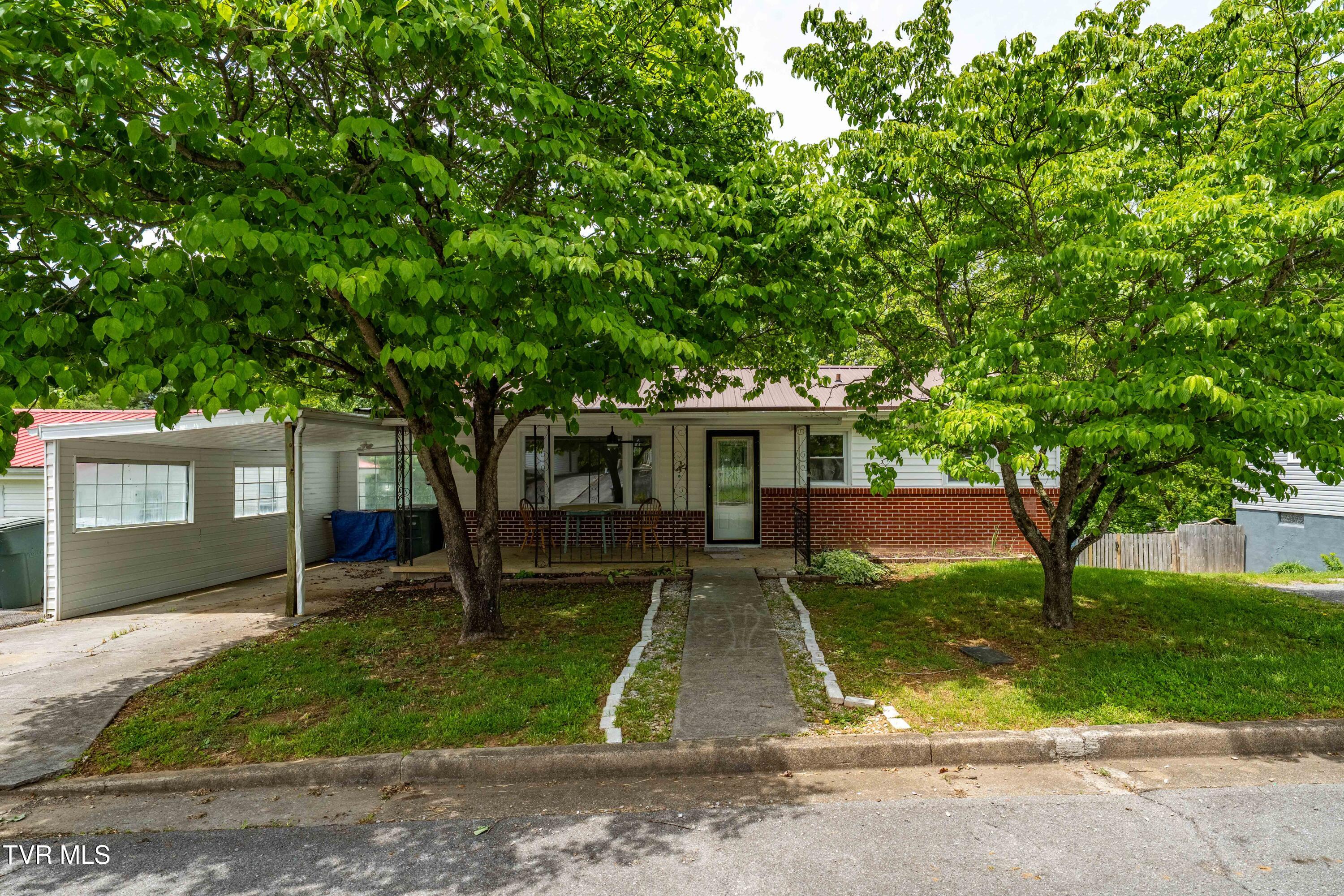 705 Holston Avenue, Elizabethton, Tennessee image 19