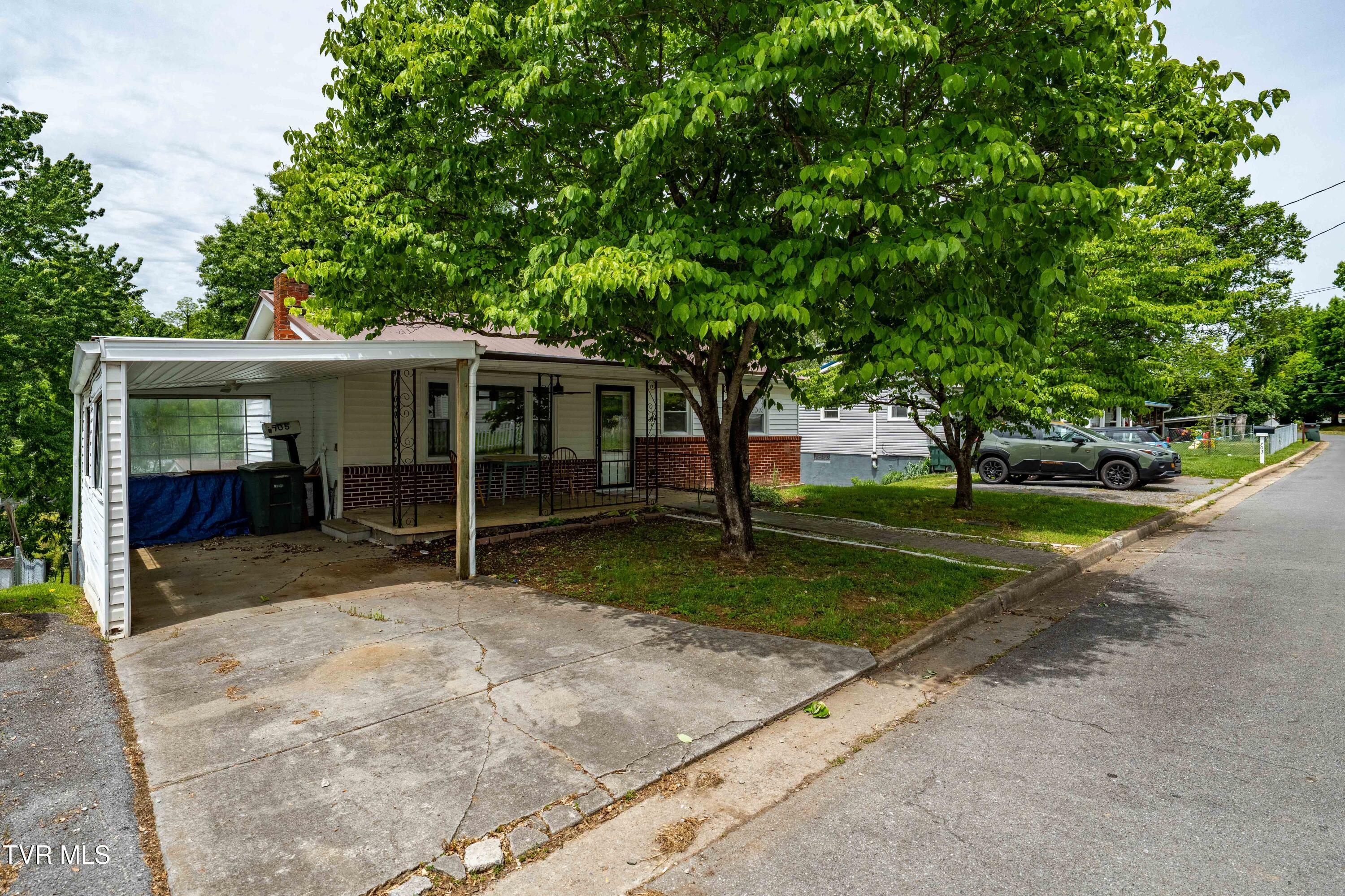705 Holston Avenue, Elizabethton, Tennessee image 48