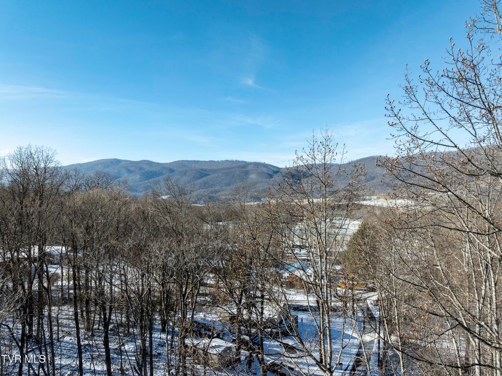 Photo of Tbd Dry Branch Road, Elizabethton, TN 37643 (MLS # 9989415)
