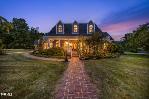Homes For Sale - 330 Roscommon Drive<br/> Bristol, TN 37620