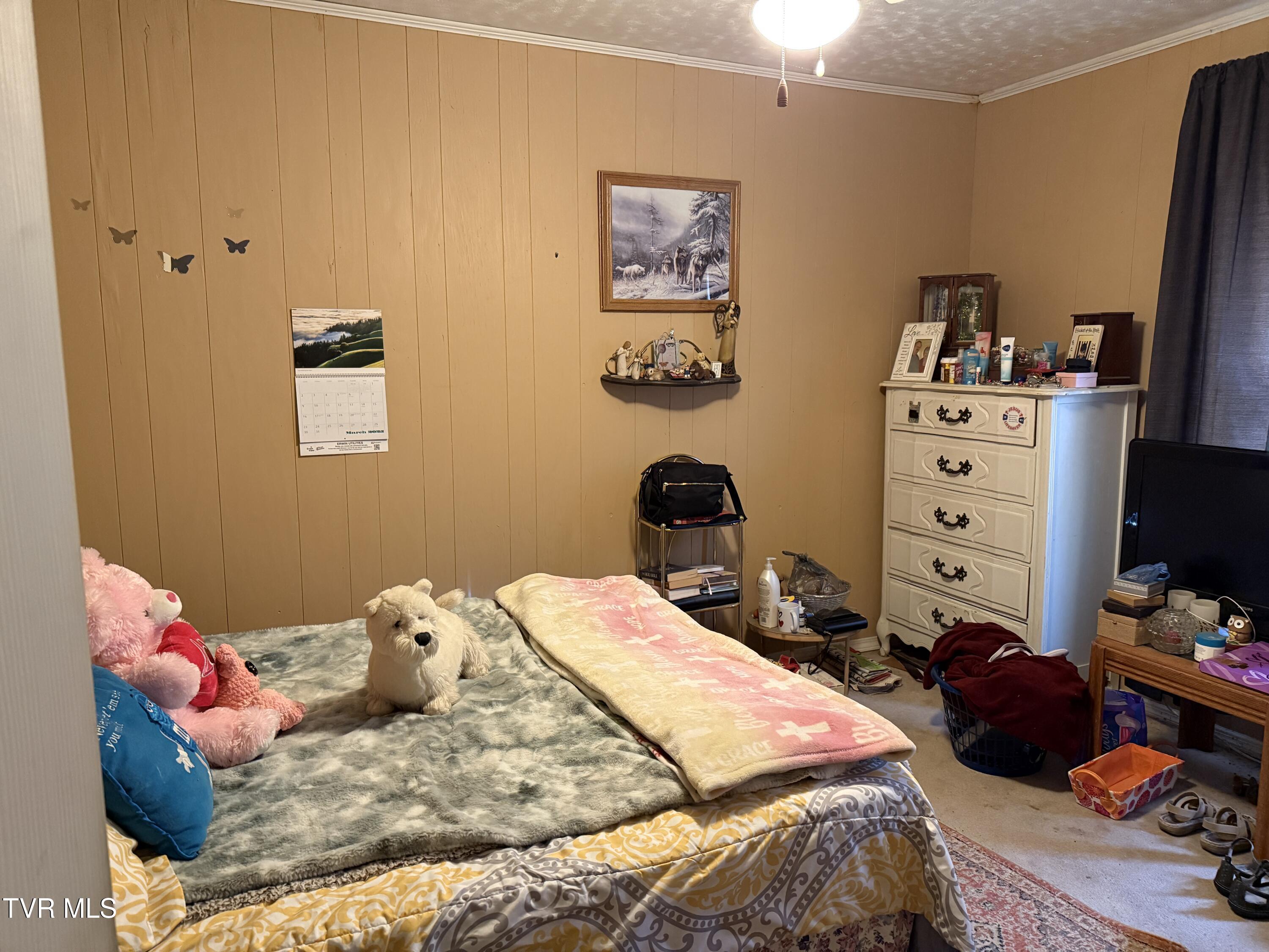 401 Mohawk Drive, Erwin, Tennessee image 12