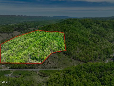 Vacant Land For Sale - 18353 Mccall Gap Road<br/> Bristol, VA 24202