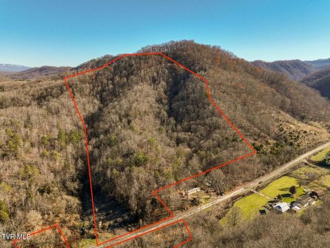 Vacant Land For Sale - 18353 Mccall Gap Road<br/> Bristol, VA 24202