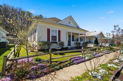 Photo of 418 Opekiska Street, Erwin, TN 37650 (MLS # 9993074)