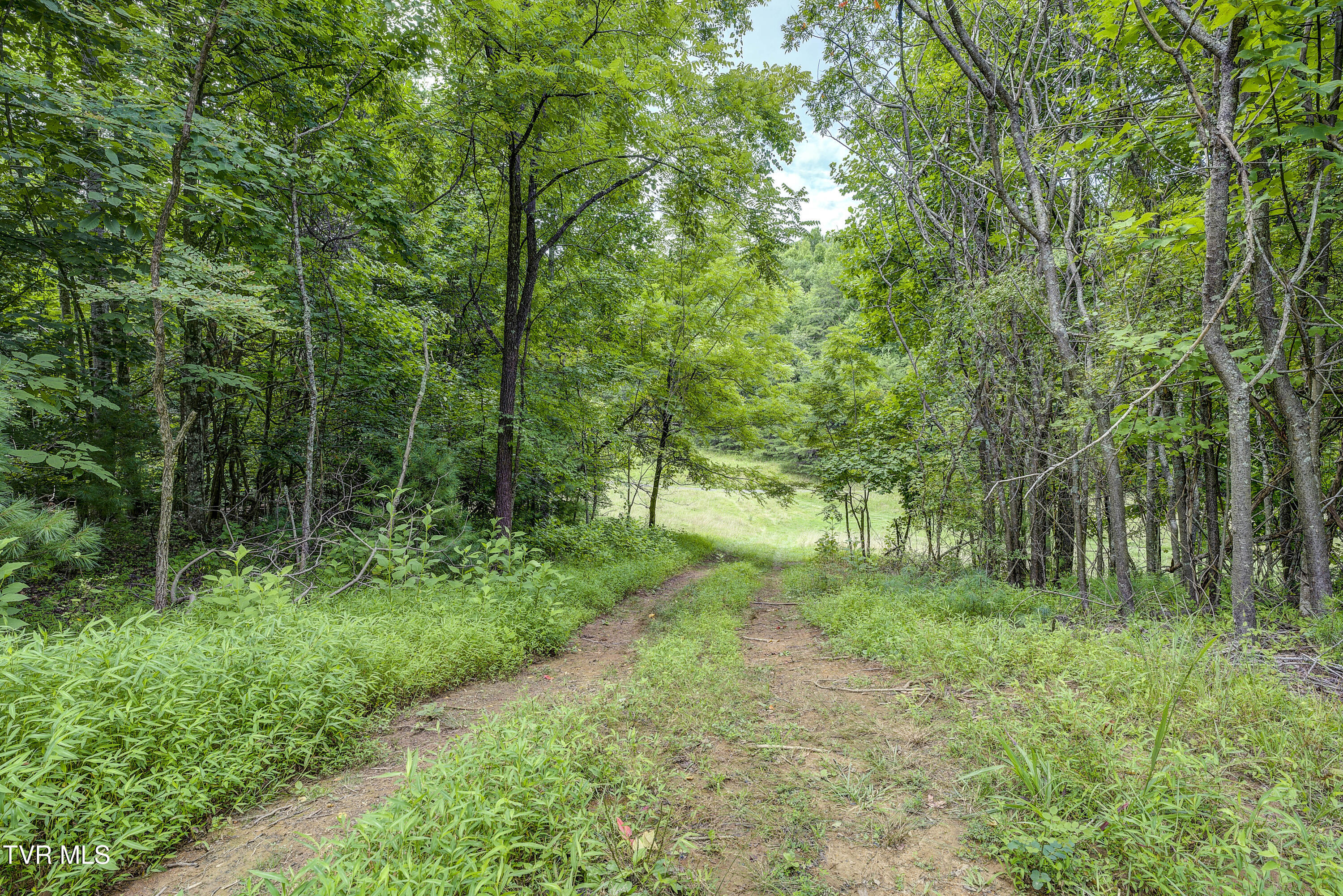 6495 Lazy Bear Lane, Unicoi, Tennessee image 42