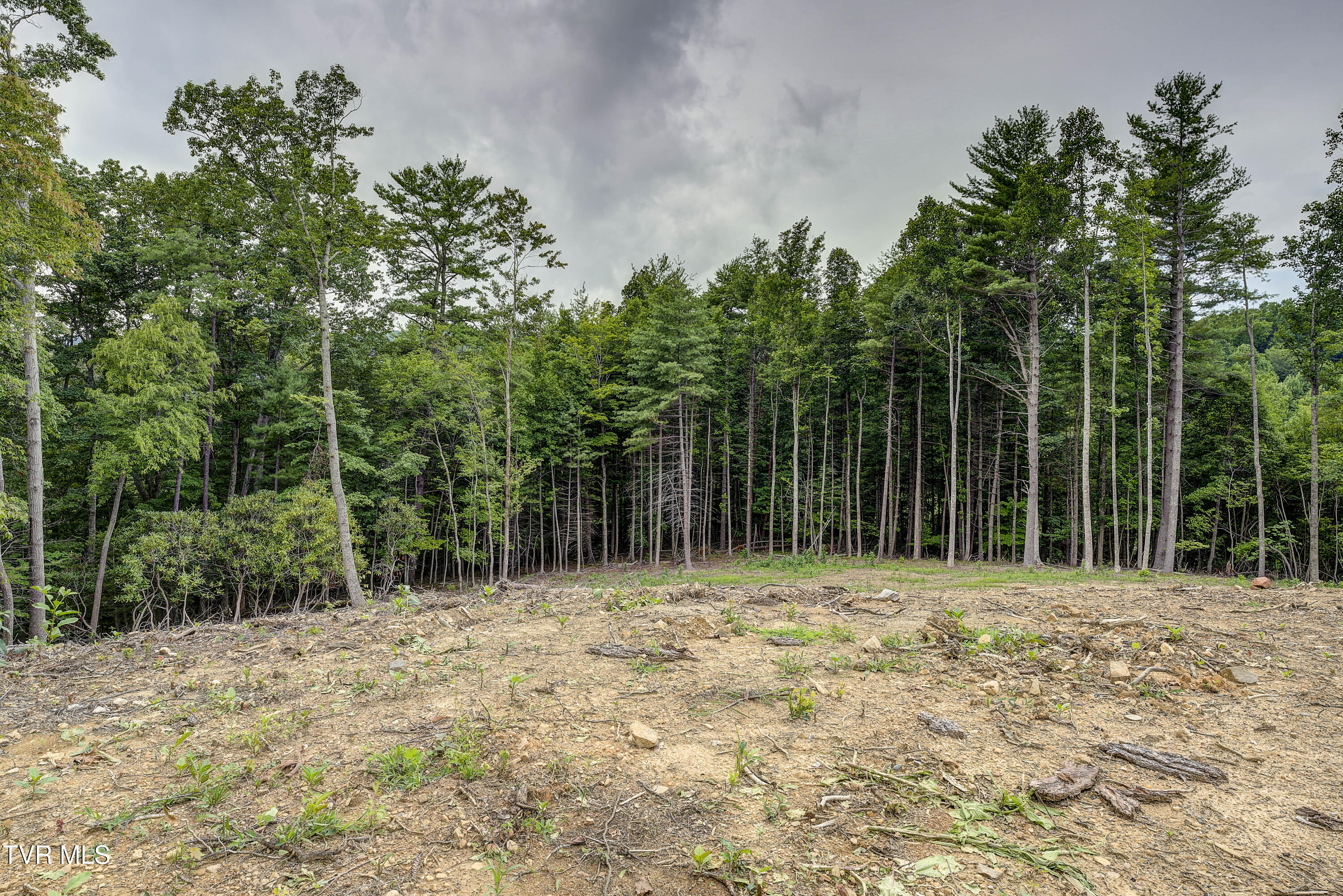 6495 Lazy Bear Lane, Unicoi, Tennessee image 39
