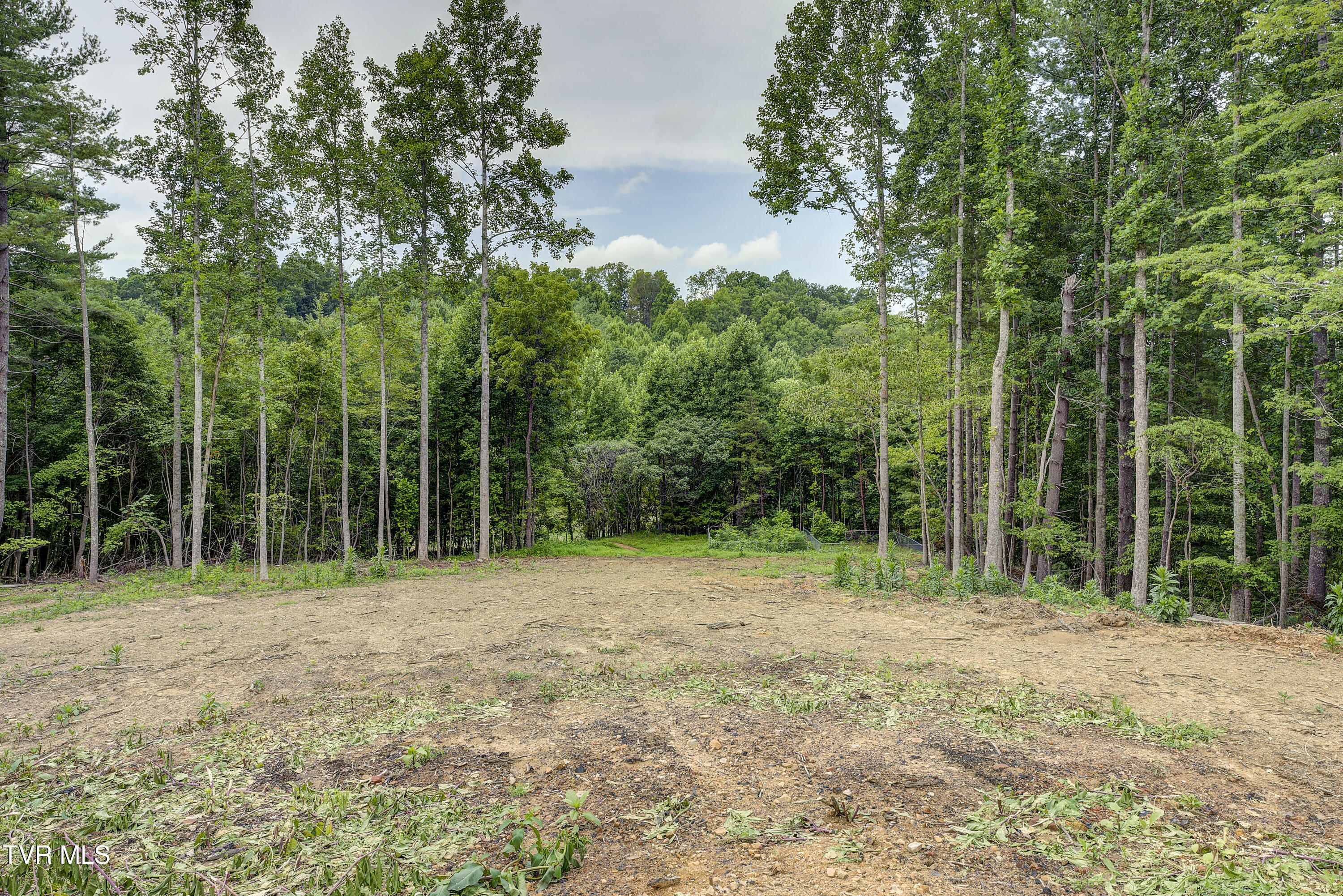 6495 Lazy Bear Lane, Unicoi, Tennessee image 41