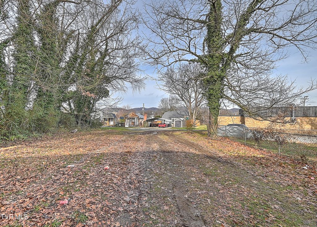 Photo of 1703 Windsor Avenue, Bristol, TN 37620 (MLS # 9990627)