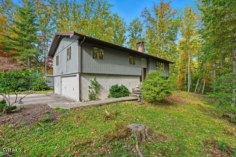 Homes For Sale - 158 Straughan Avenue<br/> Wise County, Wise, VA 24293