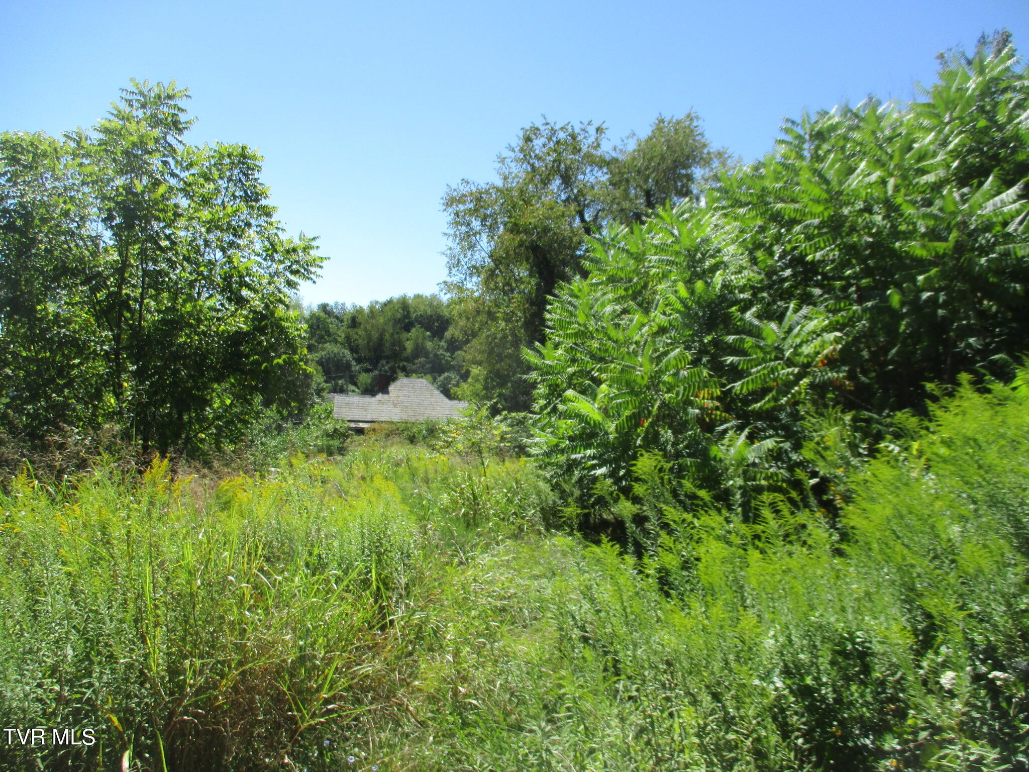 357 Spurgeon Lane, Bristol, Virginia image 1