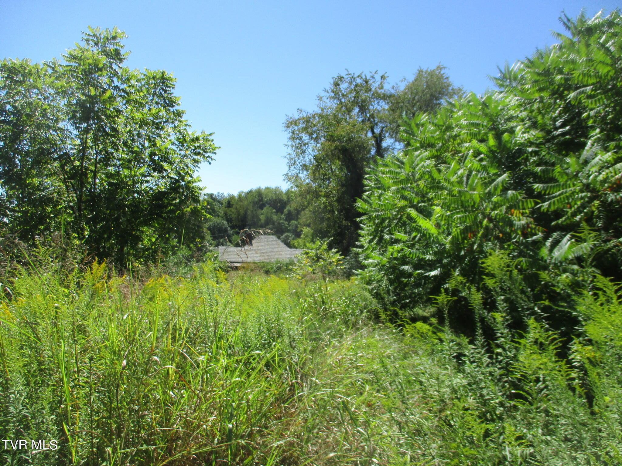 357 Spurgeon Lane, Bristol, Virginia image 3