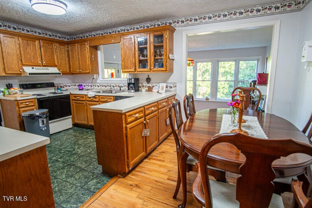 Photo of 16319 Mary Street, Abingdon, VA 24210 (MLS # 9980345)
