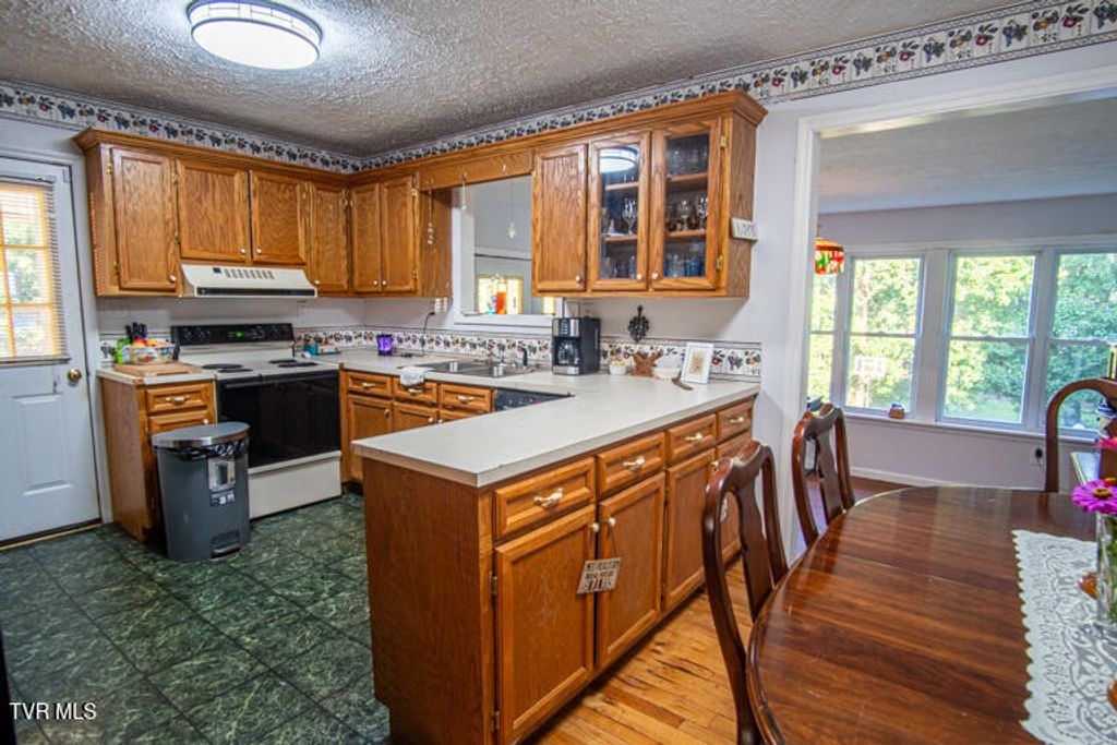 Photo of 16319 Mary Street, Abingdon, VA 24210 (MLS # 9980345)