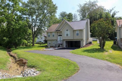 Tiny photo for 1718 Concord Street, Johnson City, TN 37604 (MLS # 9985072)
