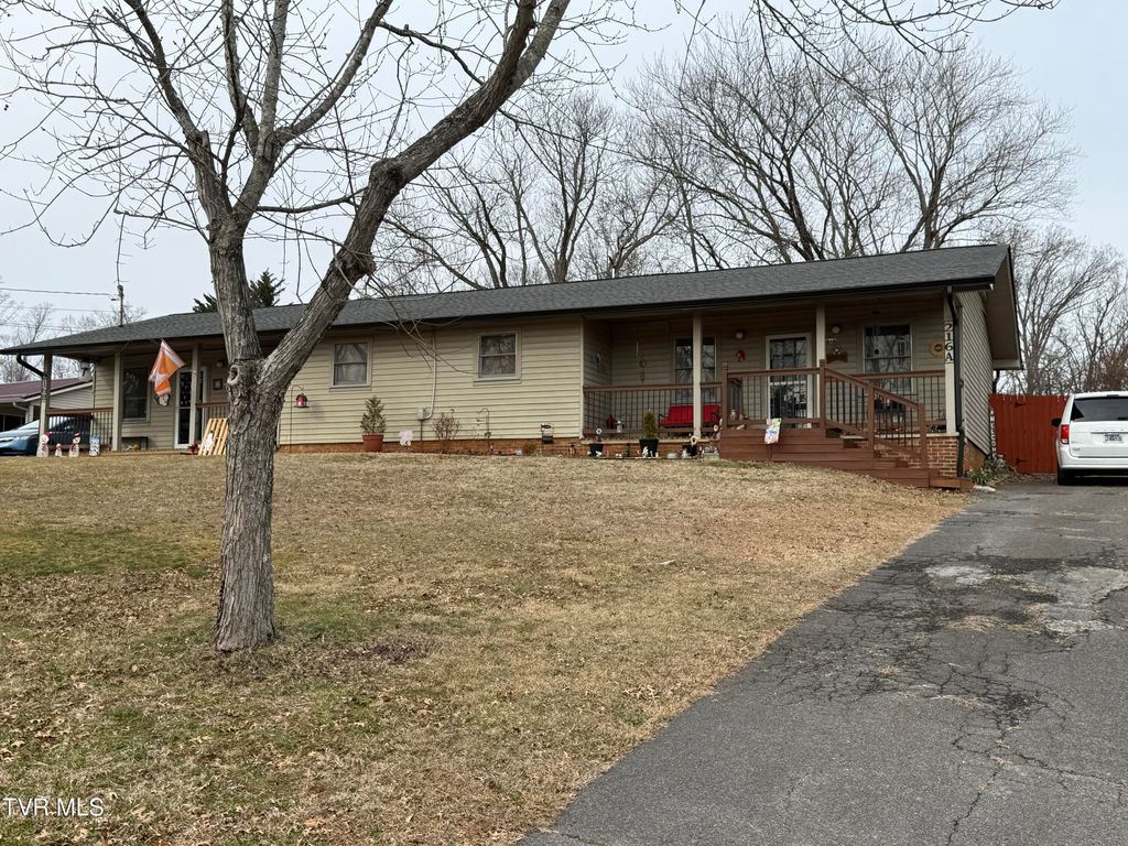 Photo of 216 Willow Street, Mount Carmel, TN 37645 (MLS # 9990764)