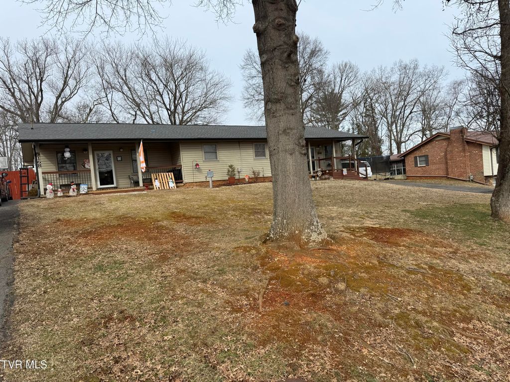 Photo of 216 Willow Street, Mount Carmel, TN 37645 (MLS # 9990764)