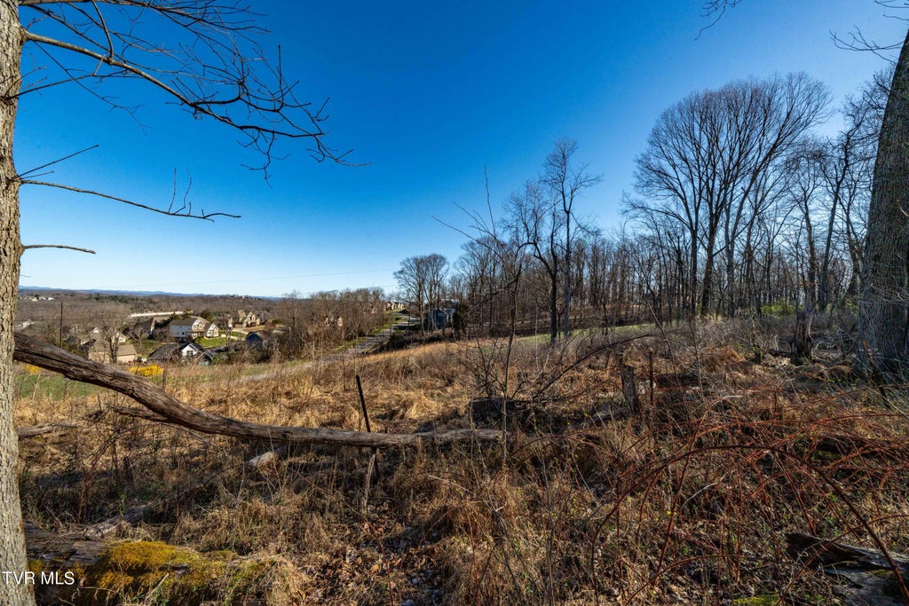 Photo of 1579 Becky Drive, Johnson City, TN 37601 (MLS # 9996378)