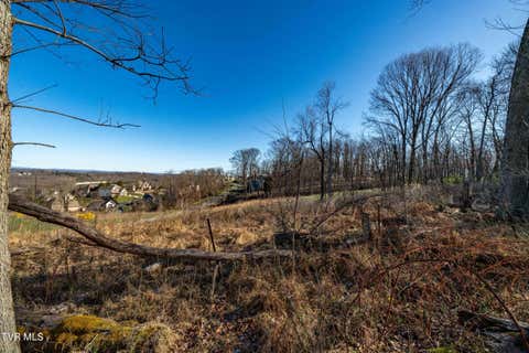 Vacant Land For Sale - 1579 Becky Drive<br/> Washington County County, Johnson City, TN 37601