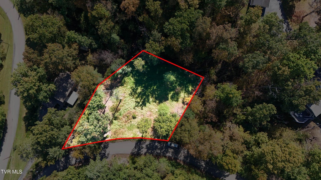 Photo of 146 Cloudland Drive, Bristol, TN 37620 (MLS # 10001964)