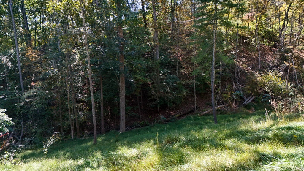 Photo of 146 Cloudland Drive, Bristol, TN 37620 (MLS # 10001964)