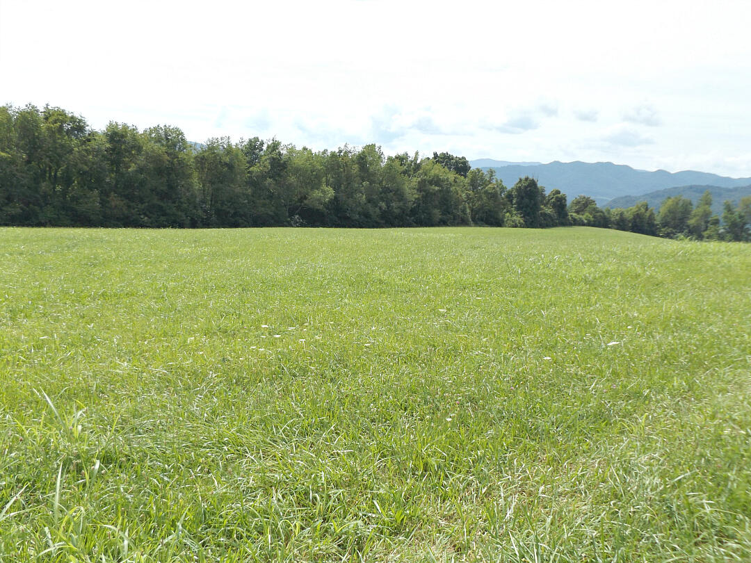 400 Airport Road, Elizabethton, Tennessee image 12