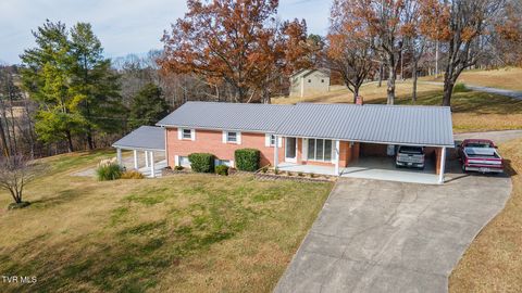 Photo of 280 Falcon Circle, Afton, TN 37616 (MLS # 9988610)