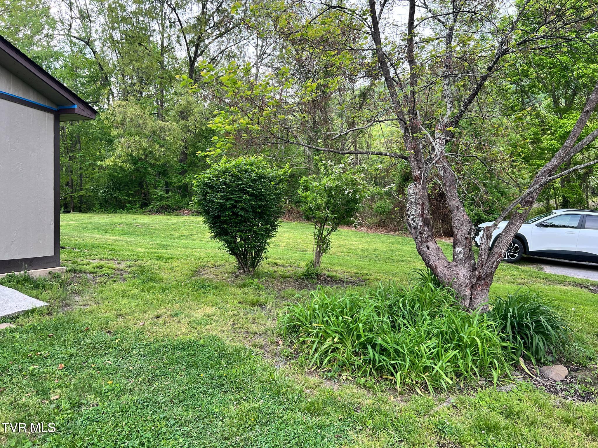 1220 2nd Avenue, Big Stone Gap, Virginia image 11