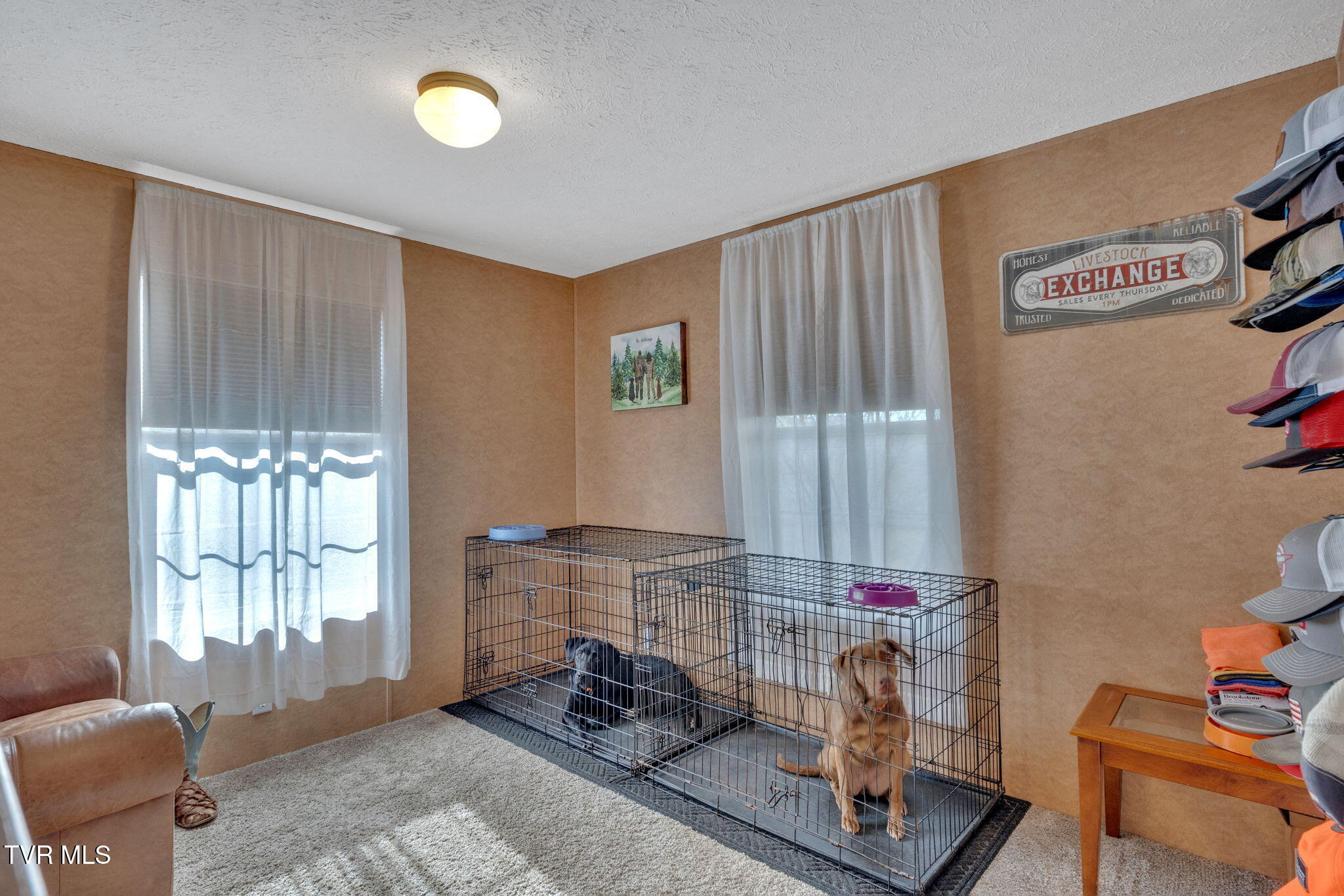 1420 Carl Doty Road, Afton, Tennessee image 15