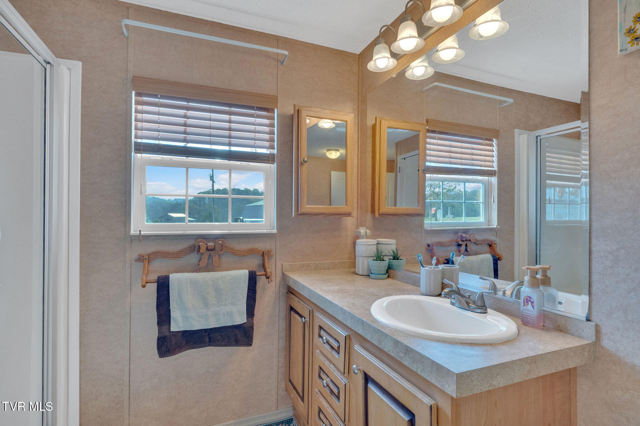 1420 Carl Doty Road, Afton, Tennessee image 10