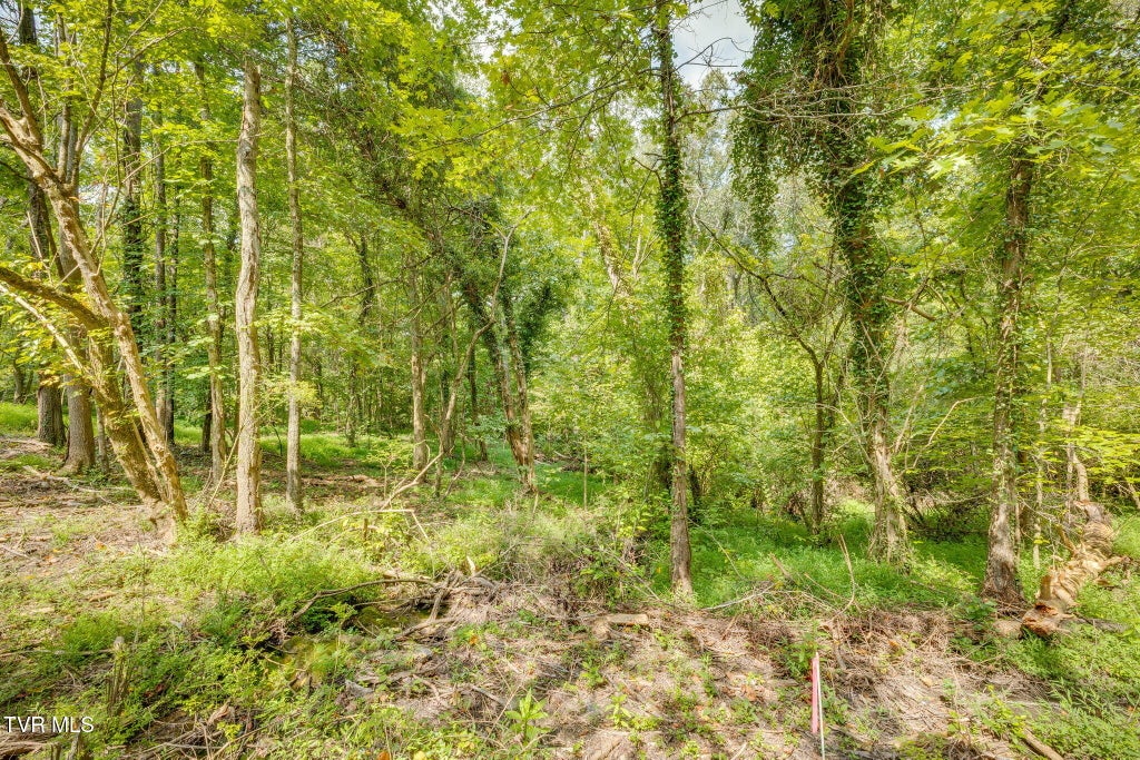 Photo of 3618 Thornton Drive, Kingsport, TN 37664 (MLS # 10000174)
