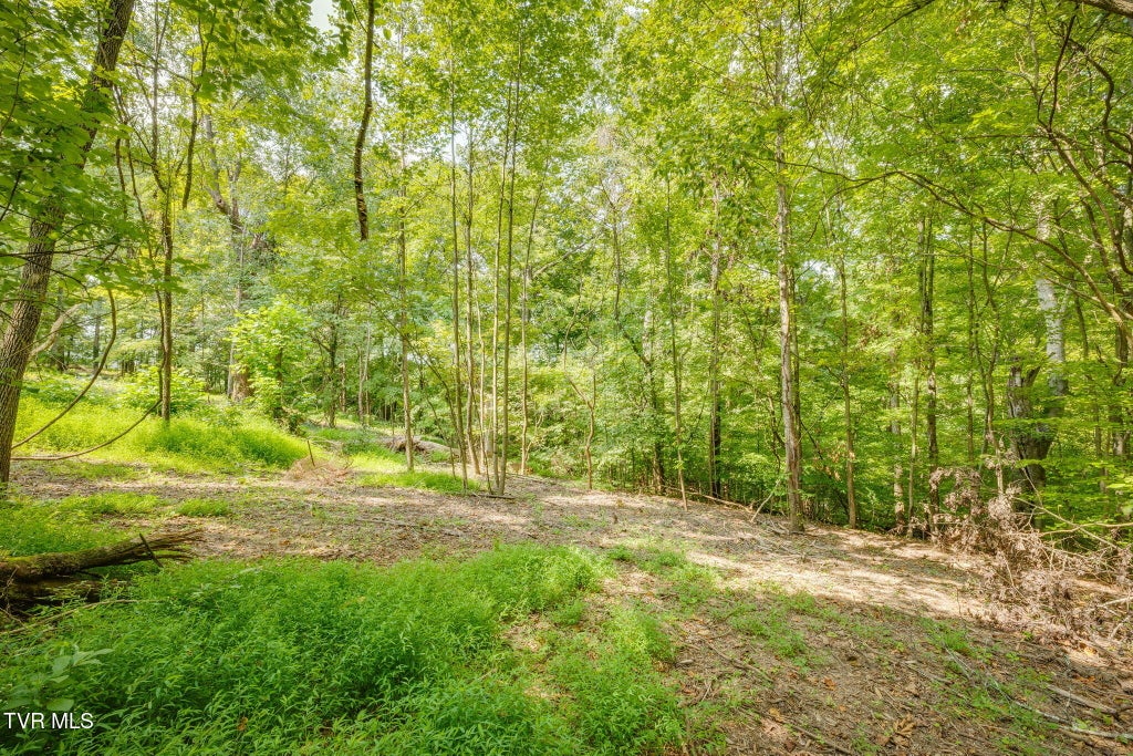 Photo of 3618 Thornton Drive, Kingsport, TN 37664 (MLS # 10000174)