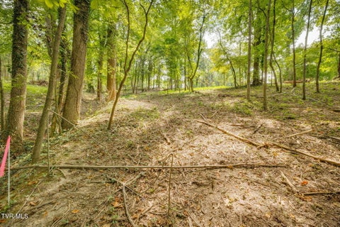 Vacant Land For Sale - 3618 Thornton Drive<br/> Sullivan County, Kingsport, TN 37664