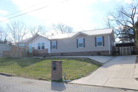 Photo of 30 Willow Creek Lane, Greeneville, TN 37743 (MLS # 9990337)