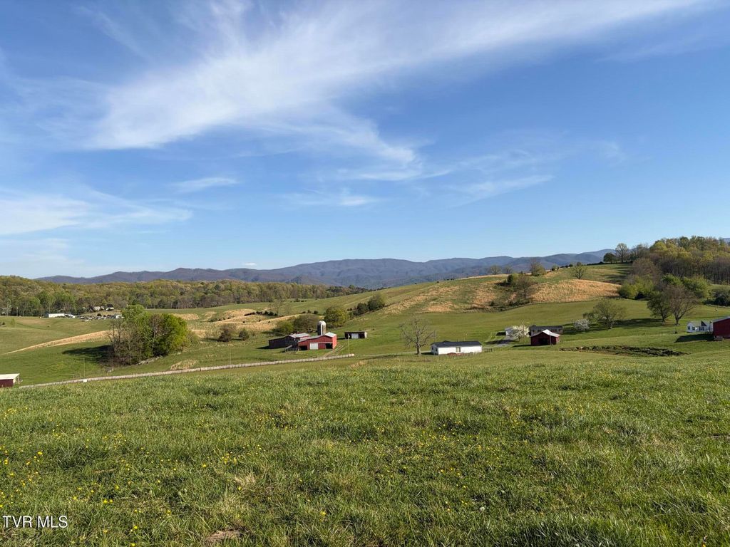 Photo of 3 Washington College Road, Limestone, TN 37681 (MLS # 9993777)