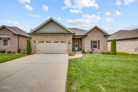 Photo of 96 Ripple Falls Private Falls, Johnson City, TN 37615 (MLS # 9992760)