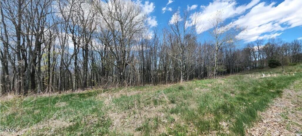 Tbd Crestwood Circle, Newland, North Carolina image 1