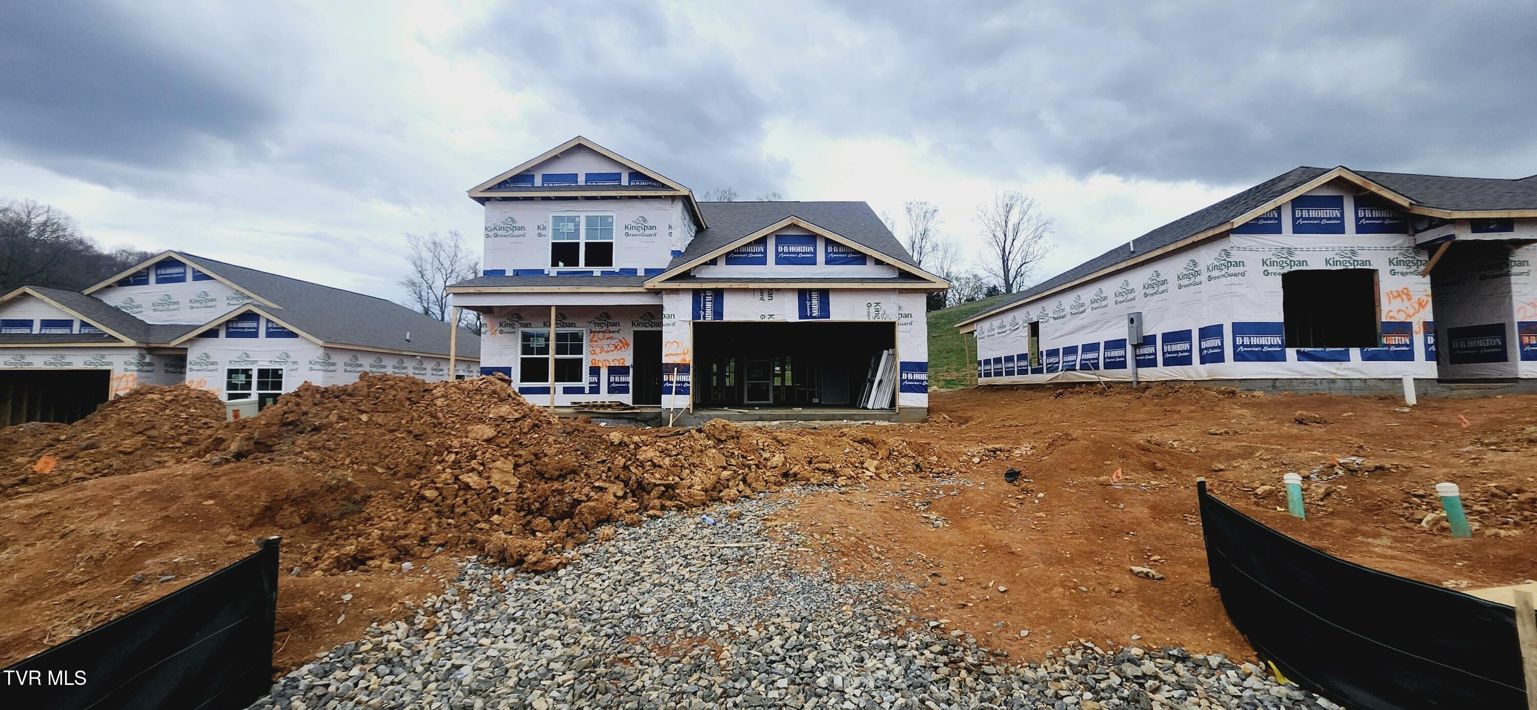 202 Golden Rod Drive, Bluff City, Tennessee image 1