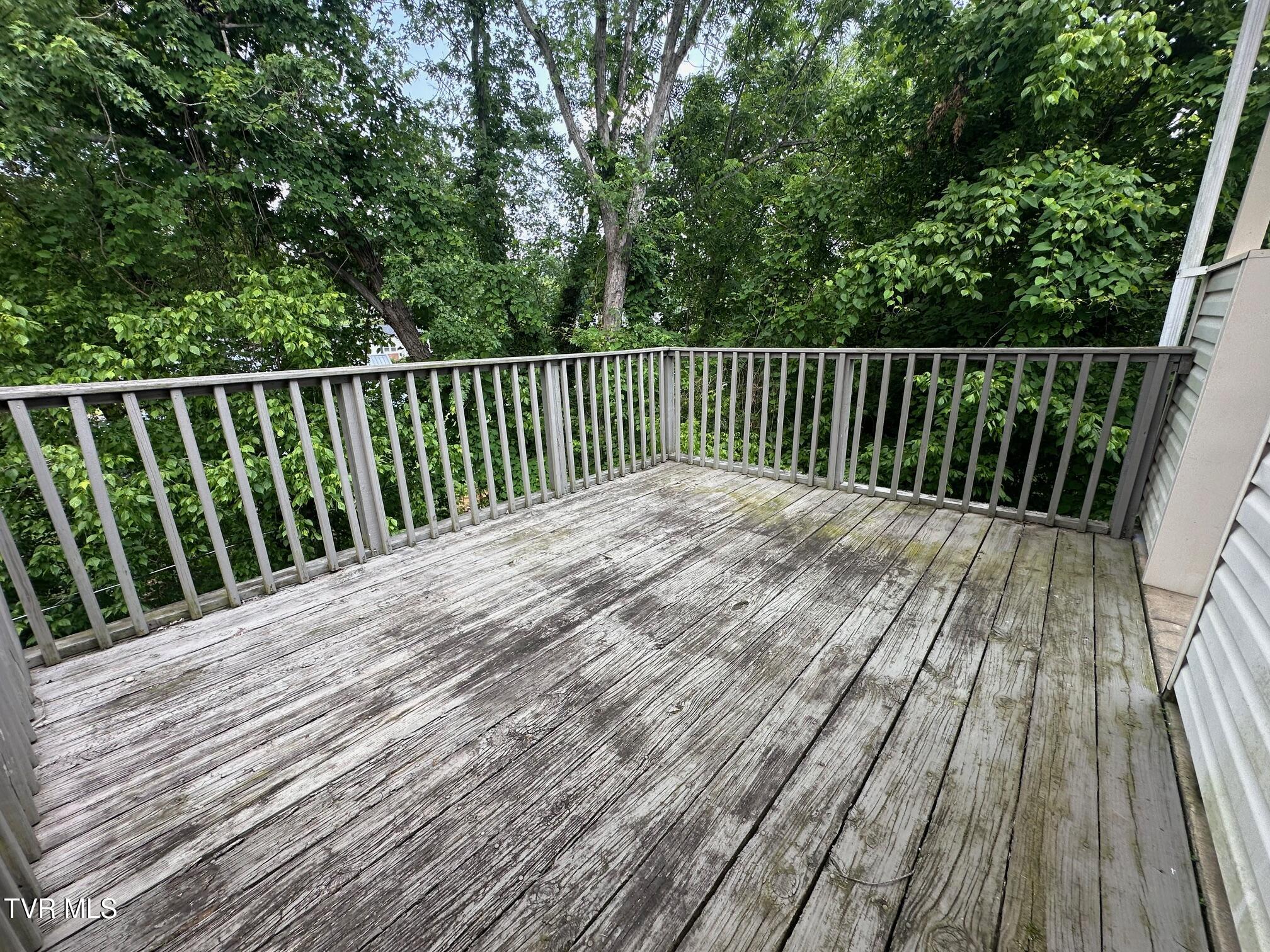 1238 Holyoke Street, Kingsport, Tennessee image 46