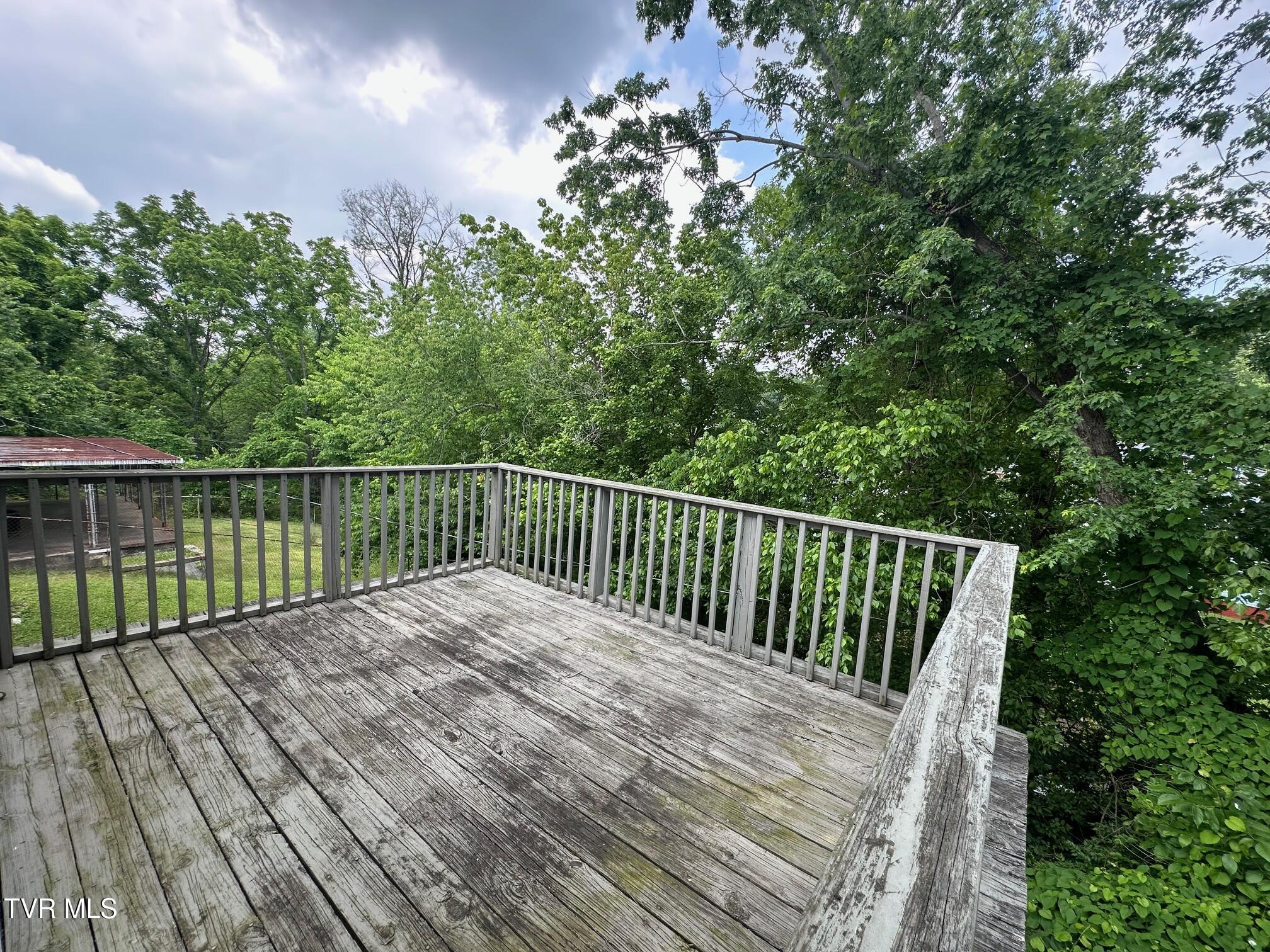 1238 Holyoke Street, Kingsport, Tennessee image 45