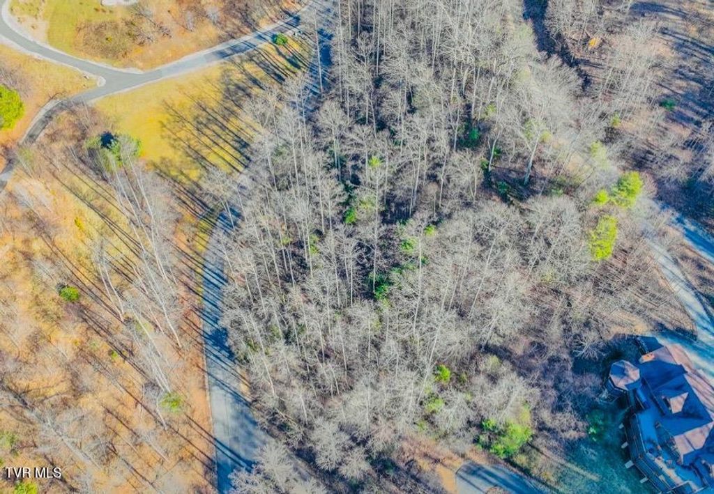 Photo of 18 Horseshoe Cove Dr/Mistyhollow Drive, Butler, TN 37640 (MLS # 9984231)