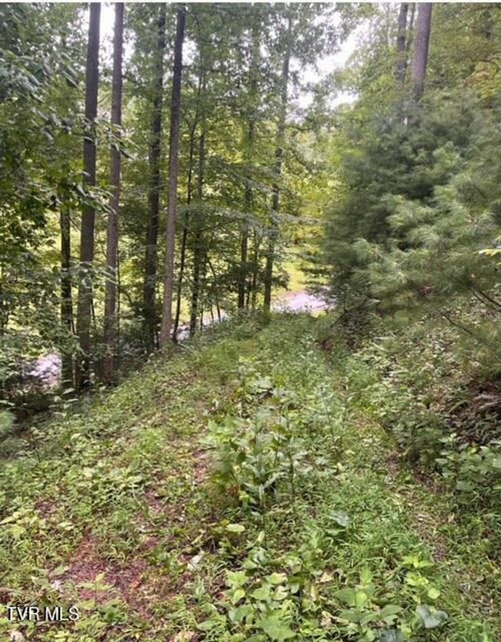Photo of 18 Horseshoe Cove Dr/Mistyhollow Drive, Butler, TN 37640 (MLS # 9984231)