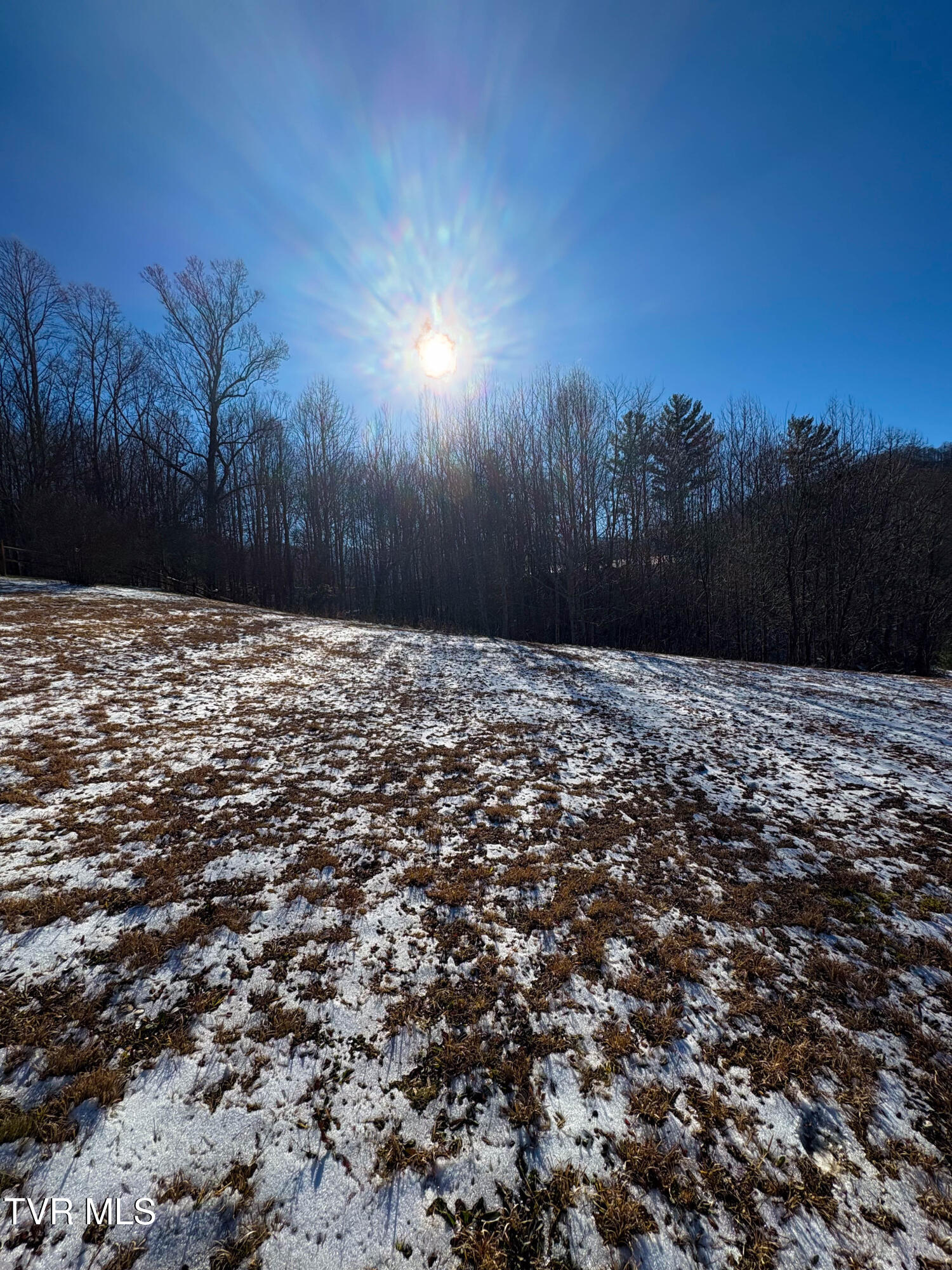 114 Buckner Drive, Roan Mountain, Tennessee image 4