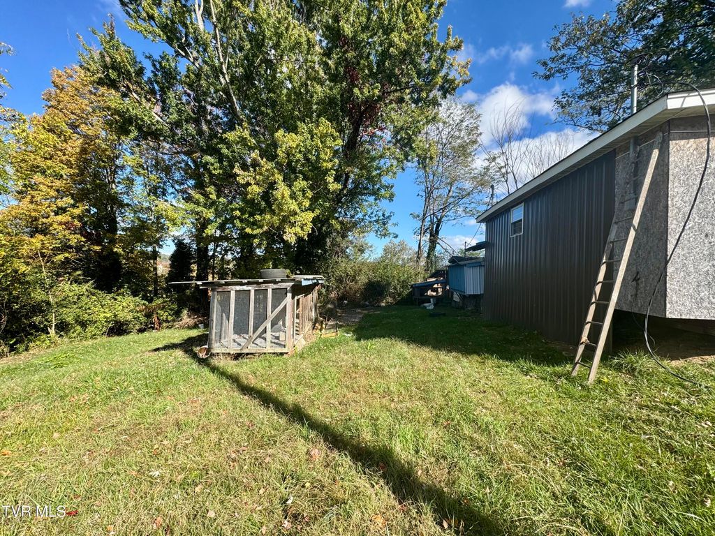 Photo of 452 Buford Street, Bristol, VA 24201 (MLS # 9987269)