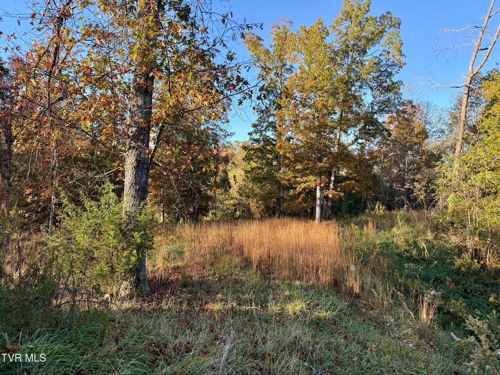Photo of 168 Coby Lane, Johnson City, TN 37615 (MLS # 9987429)