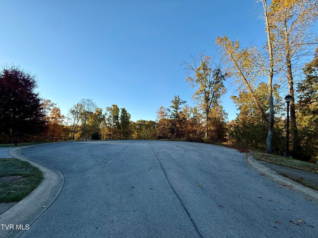 Photo of 168 Coby Lane, Johnson City, TN 37615 (MLS # 9987429)