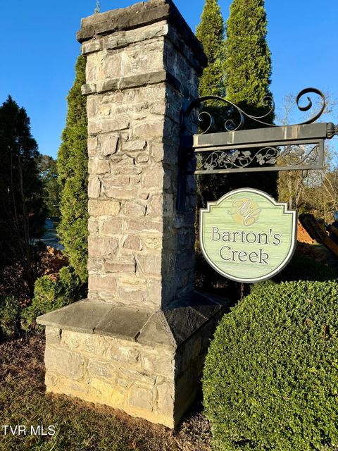 Vacant Land For Sale - 168 Coby Lane<br/> Washington County, Johnson City, TN 37615