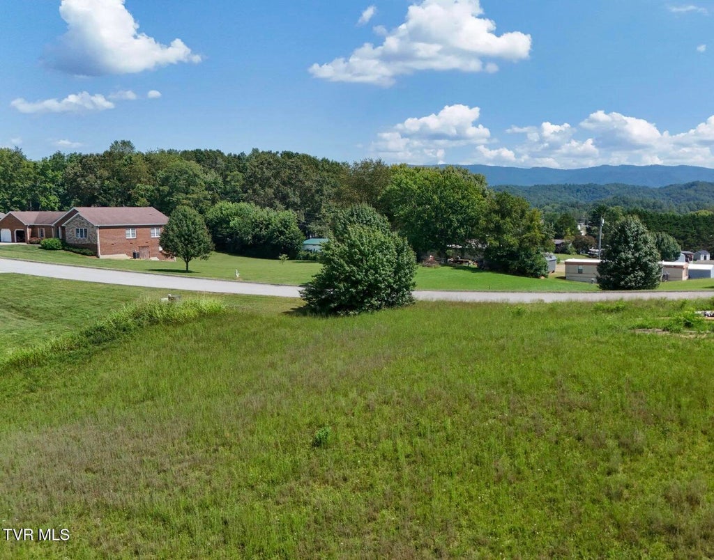Photo of 221 Lakeview Estates Drive, Bristol, TN 37620 (MLS # 10000593)