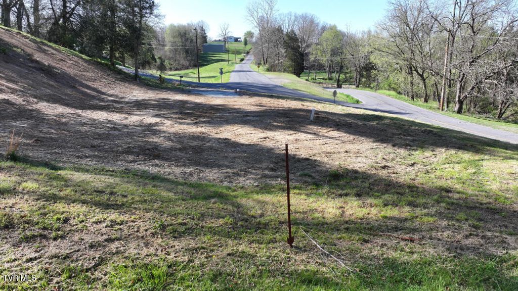 Photo of 348 Old Beason Well Road, Kingsport, TN 37660 (MLS # 9993335)